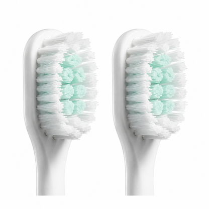 Electric Toothbrush Heads Set